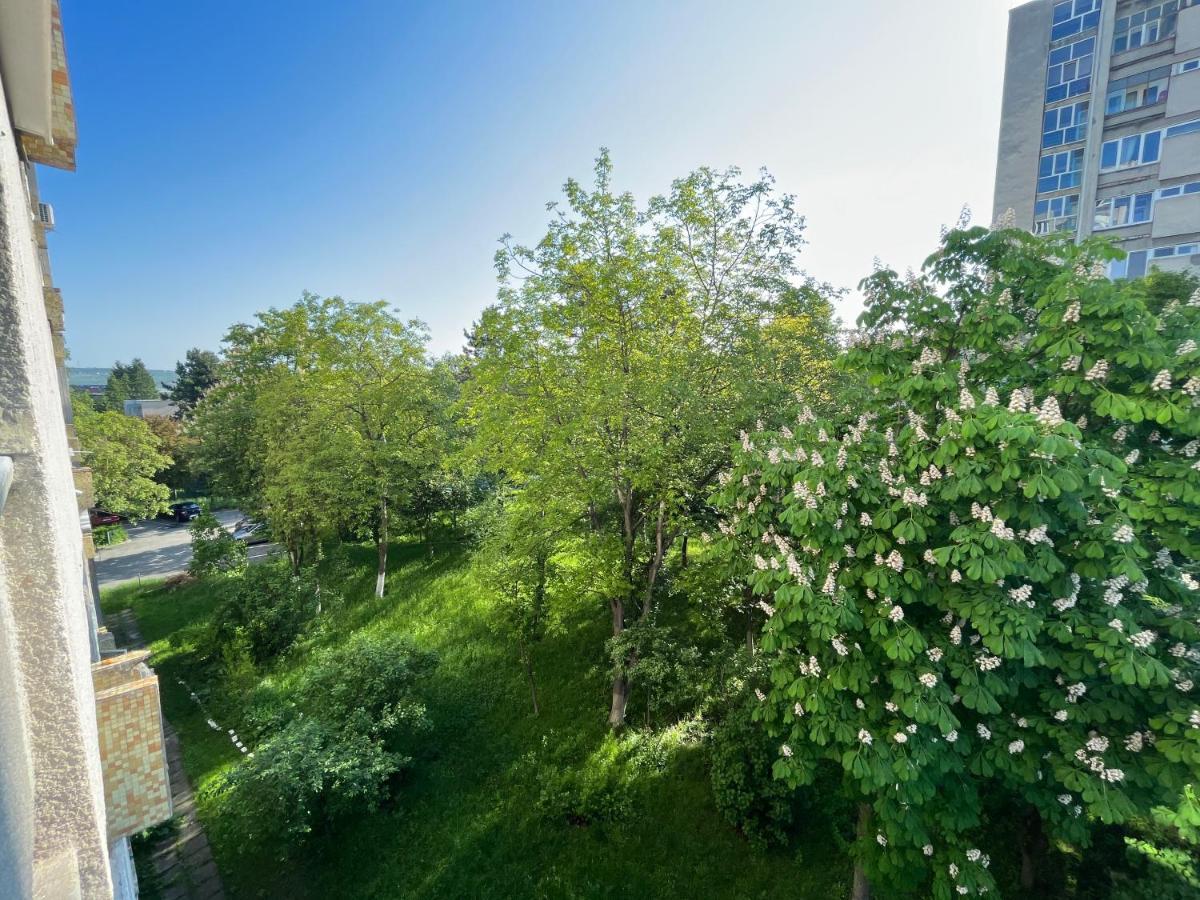 C & A Apartments Cluj-Napoca Luaran gambar